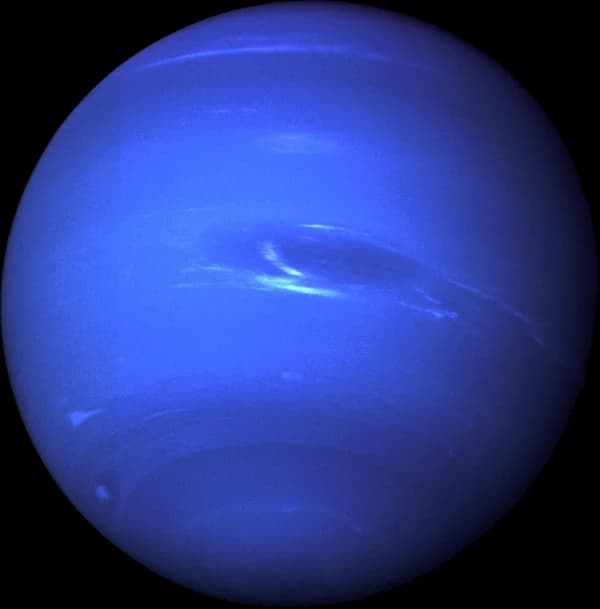Neptunus