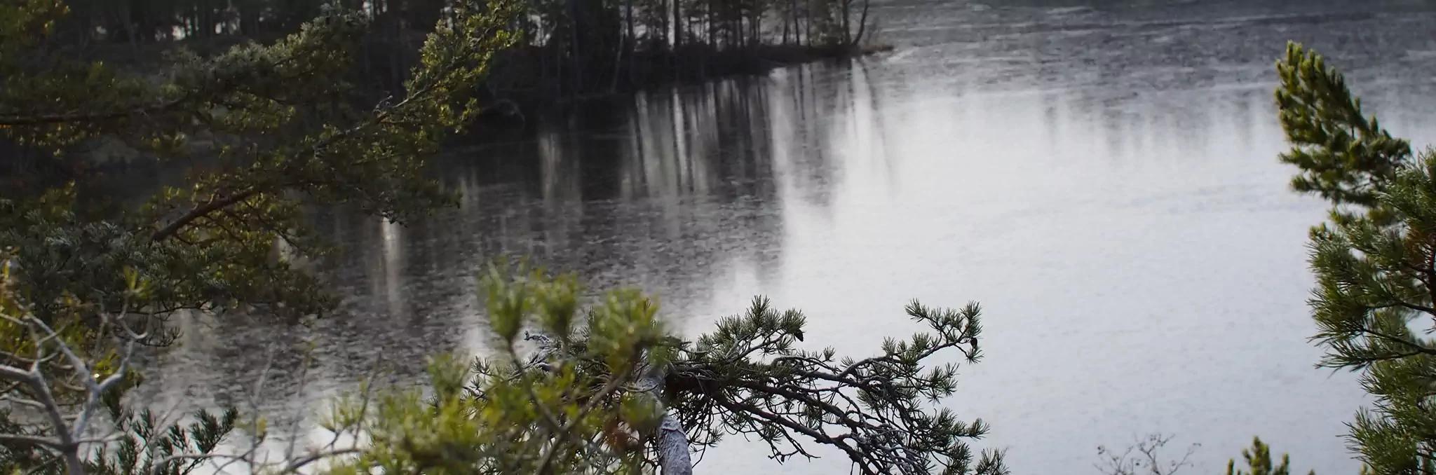 bakgrunds bild på en sjö