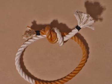 Bild på en Fiskarknop